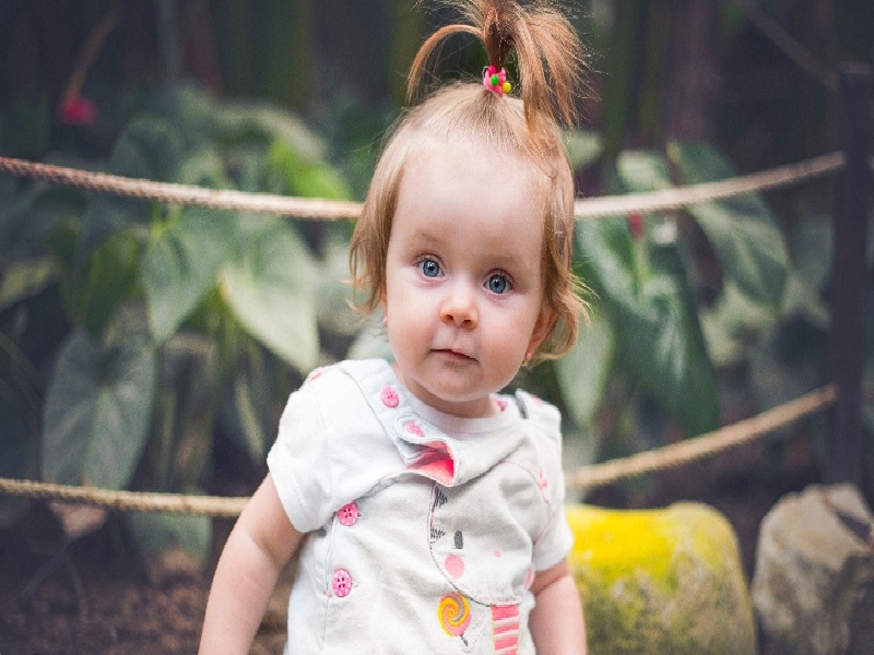 制取氧气试管破裂（试管移植鸭嘴钳）